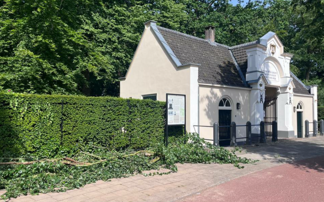 Vervolg van de restauratie: veel takken, zand en beelden voor de documentaire